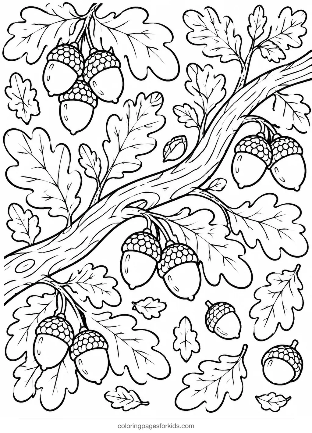 Acorn coloring page of an oak branch full of leaves and acorns, detailed printable for ages 7-10
