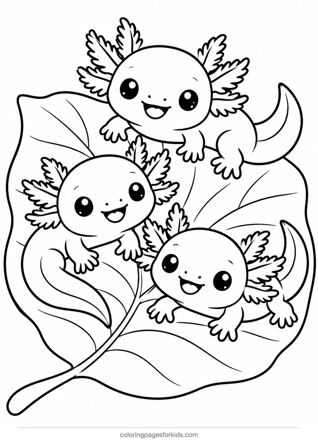 Axolotl coloring page of three baby axolotls on a leaf, easy printable for ages 3-5