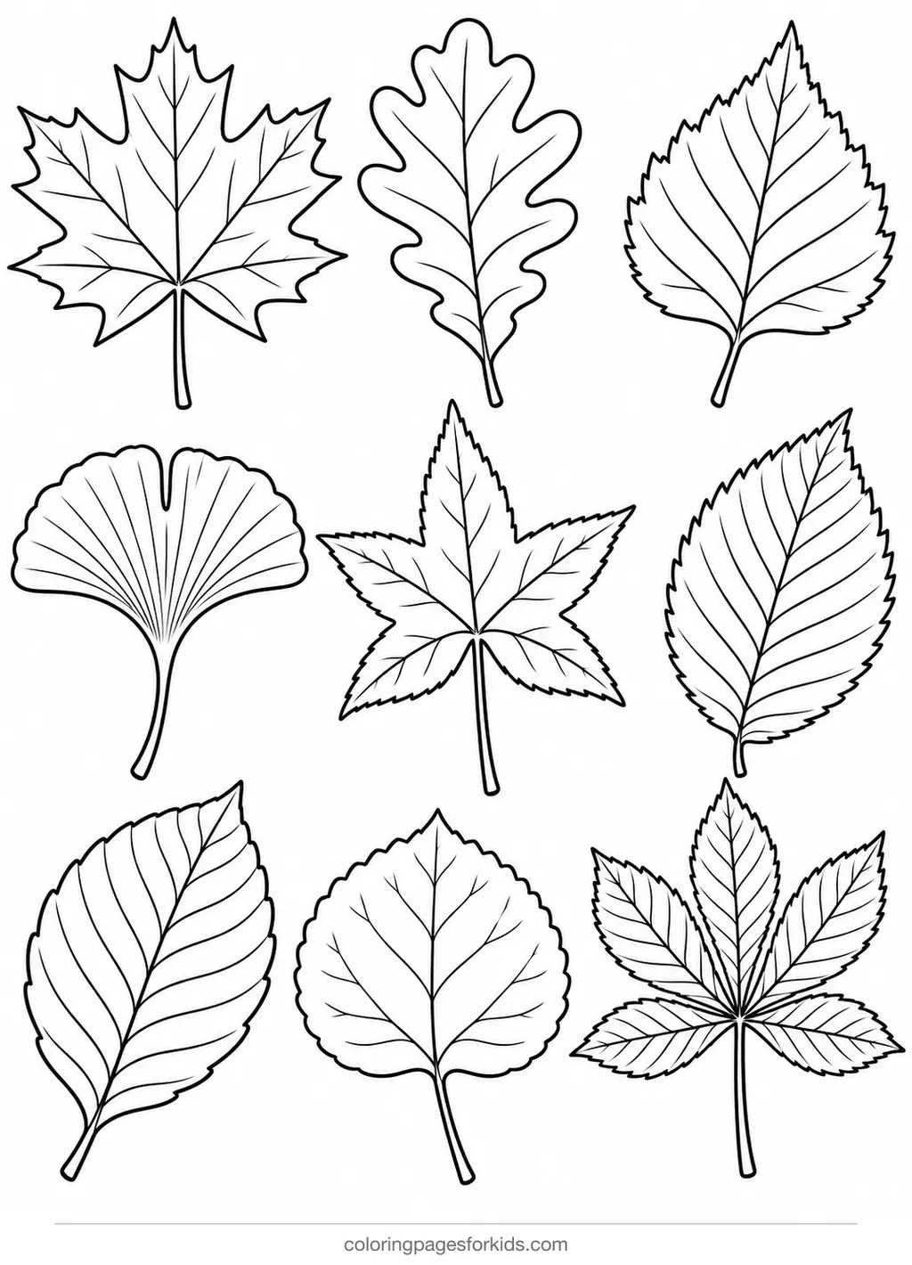 Fall coloring page of nine real tree leaf outlines, detailed printable for ages 7-10